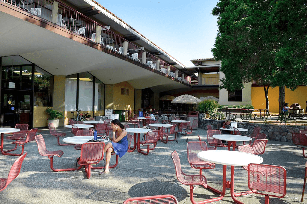 Students dining outdoors